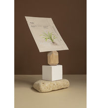 Carica l'immagine nel visualizzatore di Gallery, Adenosine & zhi mu - LIFTING MASK