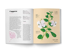 Carica l'immagine nel visualizzatore di Gallery, Erbario Mediterraneo