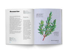 Carica l'immagine nel visualizzatore di Gallery, Erbario Mediterraneo