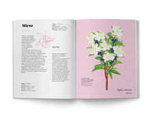 Carica l'immagine nel visualizzatore di Gallery, Erbario Mediterraneo