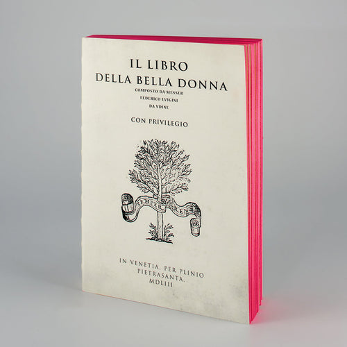 Libri Muti, notebook di pagine bianche con copertina del Libro della Bella Donna rilegato a mano con schiena colorata a mano colore fucsia. 