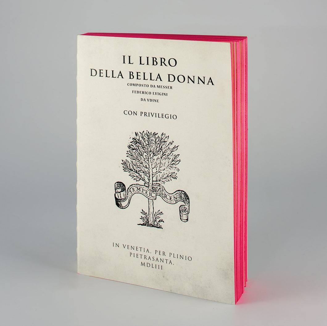 Libri Muti, notebook di pagine bianche con copertina del Libro della Bella Donna rilegato a mano con schiena colorata a mano colore fucsia. 