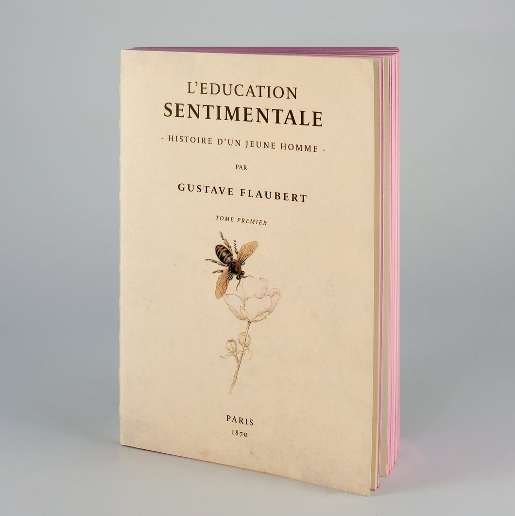 Notebook con copertina L'educazione sentimentale e laterali rosa.