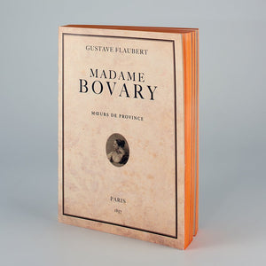 Notebook con copertina Madame Bovary e laterali arancio.