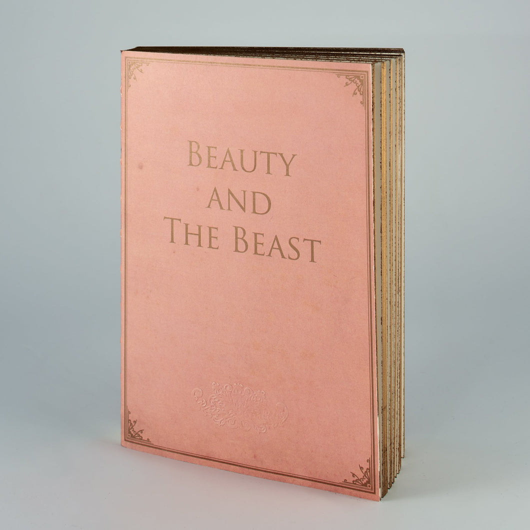 Libri Muti - Beauty and The Beast